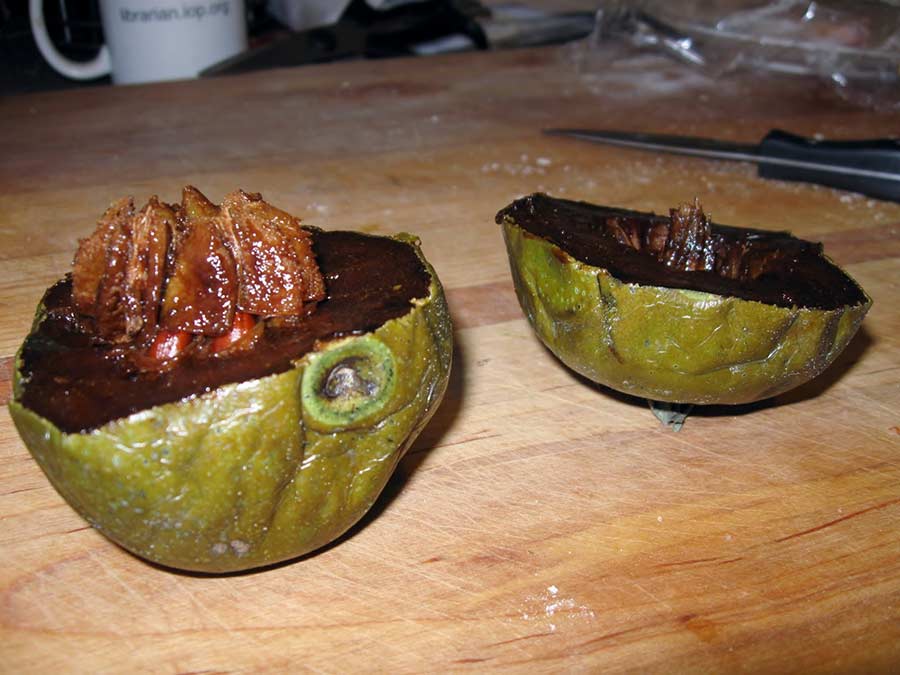 Des fruits étonnants au premier aspect