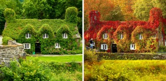 12 Photos Avant/Après De Changements Magnifiques Pendant L’Automne