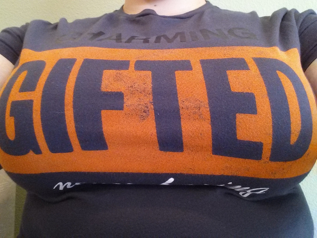 28 choses dont sont incapables les filles aux gros seins