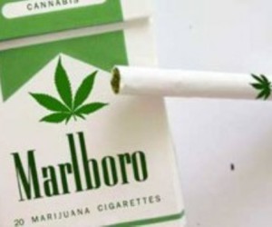 marijuana-cigarettes-marlboro-m